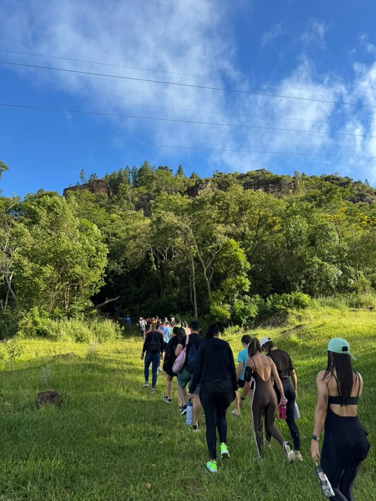 um passo de cada vez