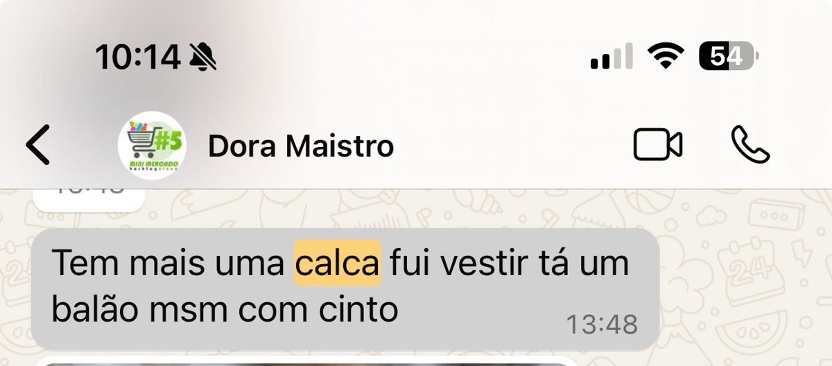 Depoimento de Dora Maistro